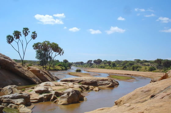 Shaba National Reserve